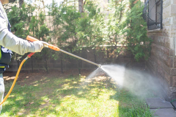 Pest Prevention Services in Hampton, VA